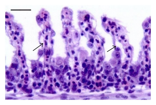Details are in the caption following the image