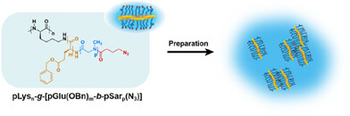 Polypept(o)ide-Based Core–Shell Bottlebrush Polymers: A Versatile Platform for Drug Encapsulation