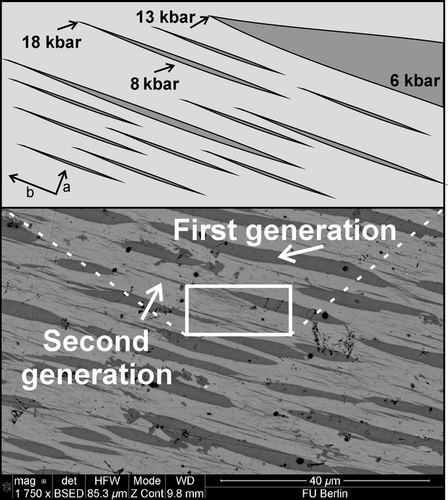 Details are in the caption following the image Details are in the caption following the image