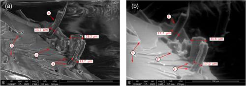 Details are in the caption following the image