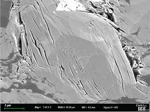Details are in the caption following the image