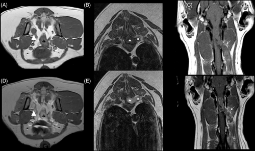 Details are in the caption following the image Details are in the caption following the image