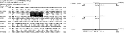 Details are in the caption following the image