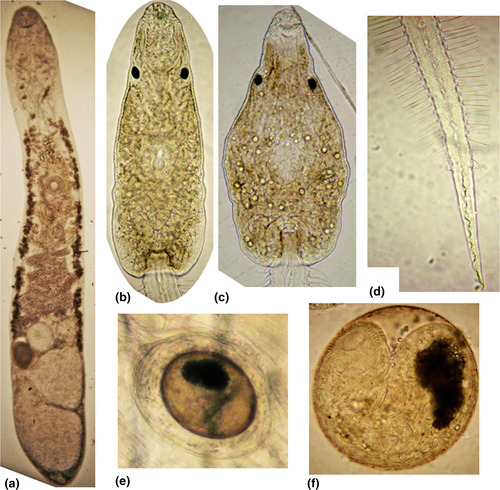 Details are in the caption following the image Details are in the caption following the image
