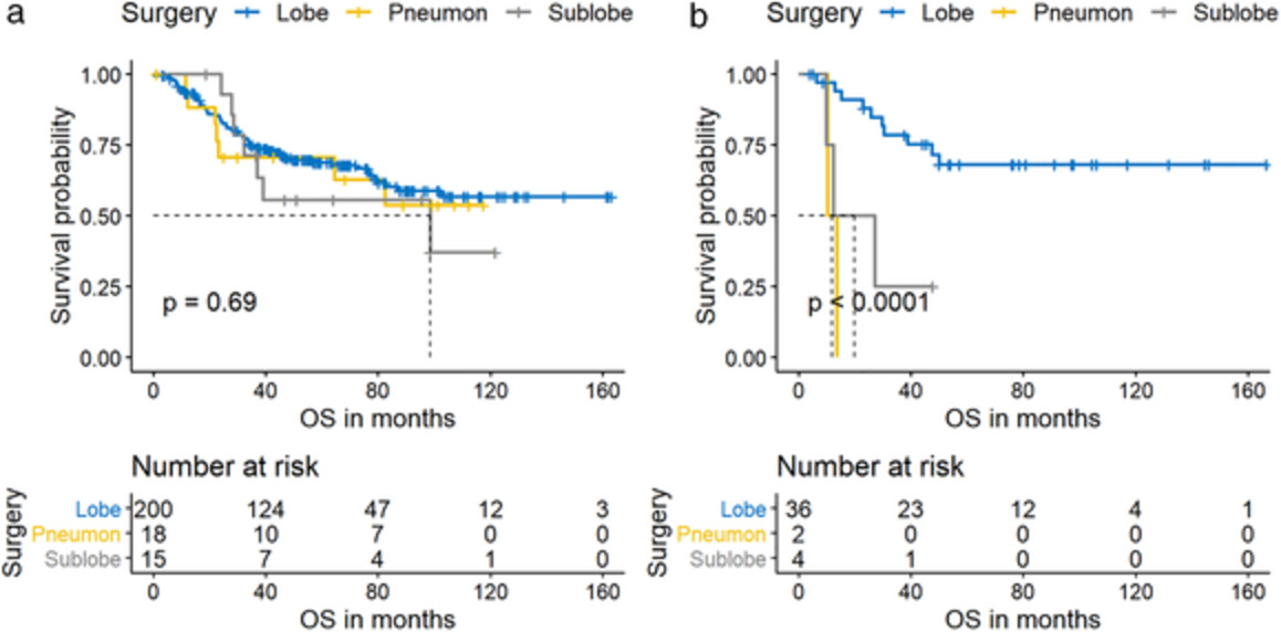 Comparative study of clinicopathological characteristics and prognosis between combined and pure small cell lung cancer (SCLC) after surgical resection