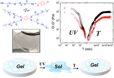 On-Demand Photodegradable and Thermo-Reversible, Soft, Transparent Dithioacetal Hydrogels