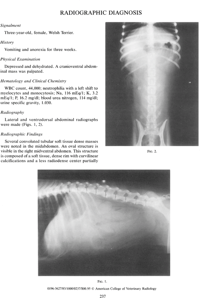 First page image