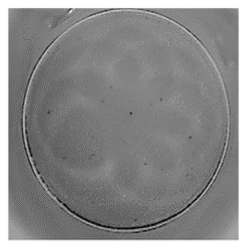 Details are in the caption following the image