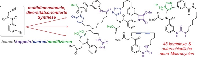 A Multidimensional Diversity-Oriented Synthesis Strategy for Structurally Diverse and Complex Macrocycles