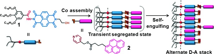 Stimuli-Responsive Self-Assembly of a Naphthalene Diimide by Orthogonal Hydrogen Bonding and Its Coassembly with a Pyrene Derivative by a Pseudo-Intramolecular Charge-Transfer Interaction