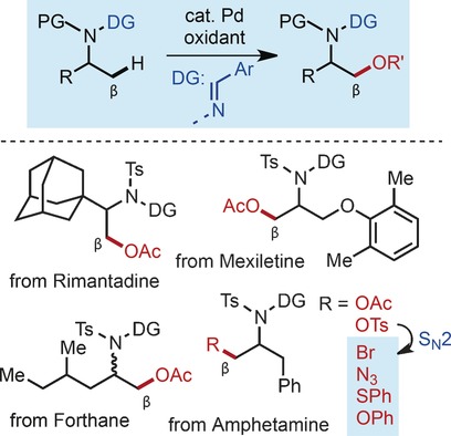 A Hydrazone-Based exo-Directing-Group Strategy for β C−H Oxidation of Aliphatic Amines