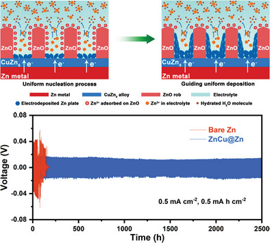 Heterostructured Interface Enables Uniform Zinc Deposition for High-Performance Zinc-Ion Batteries
