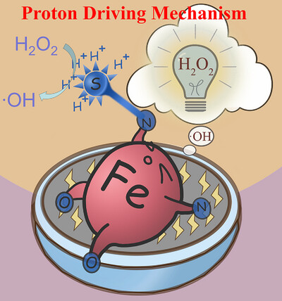 Proton Driving Mechanism Revealed in Sulfur-Doped Single-Atom FeN2O2 Carbon Dots for Superior Peroxidase Activity