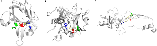 Details are in the caption following the image Details are in the caption following the image
