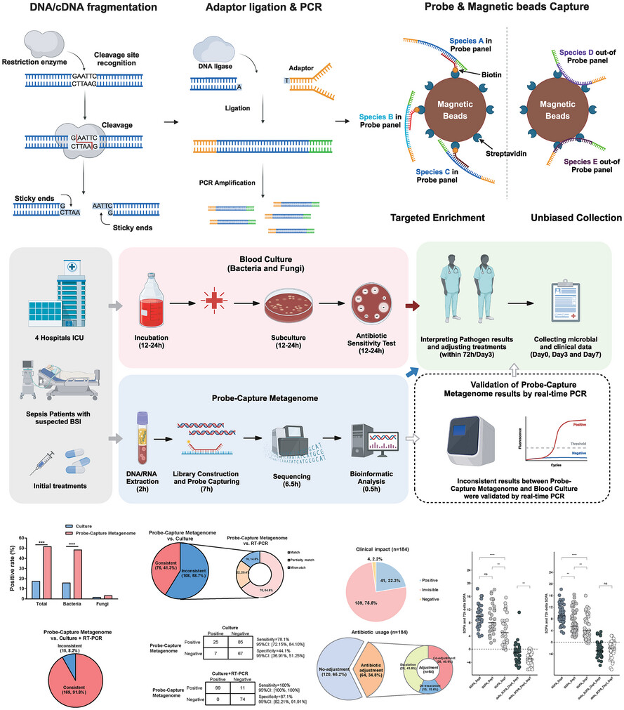 Clinical implement of Probe-Capture Metagenomics in sepsis patients: A multicentre and prospective study