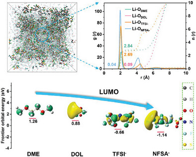 An Amphiphilic Molecule Induced Anion-Enrichment Interface for Next-Generation Lithium Metal Batteries