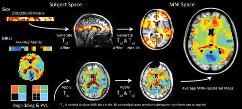 Details are in the caption following the image Details are in the caption following the image