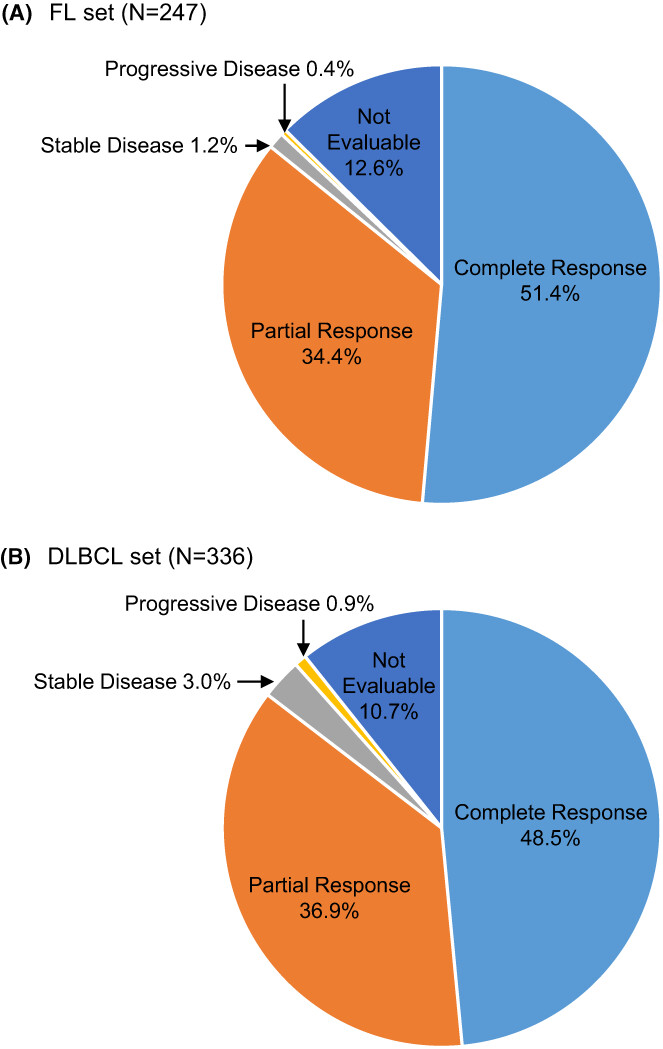 Subcutaneous rituximab in patients with diffuse large B cell lymphoma and follicular lymphoma: Final results of the non-interventional study MabSCale