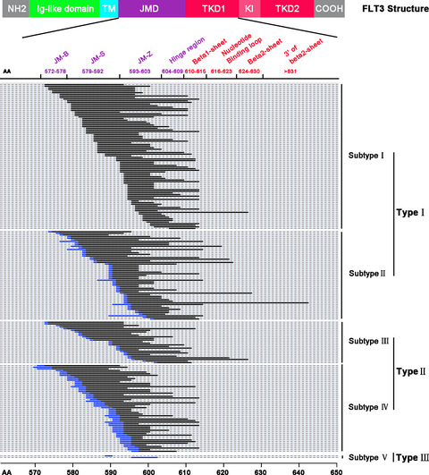 Pattern and prognostic value of FLT3-ITD mutations in Chinese de novo adult acute myeloid leukemia
