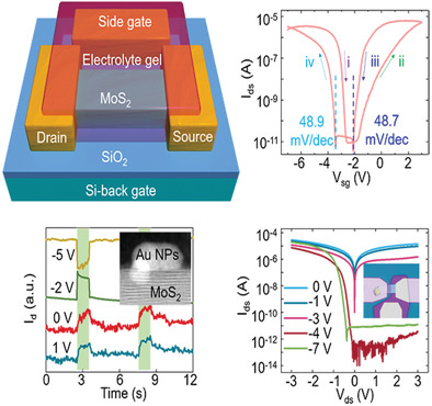 Multifunctional MoS2 Transistors with Electrolyte Gel Gating