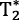 urn:x-wiley:07403194:media:mrm27377:mrm27377-math-0003
