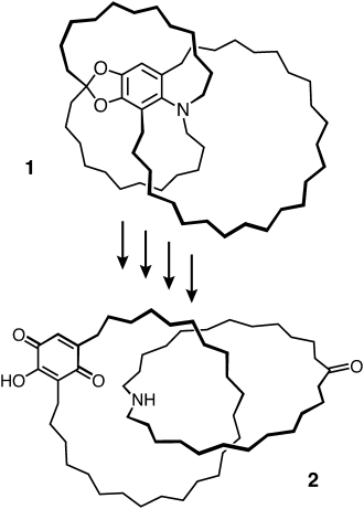chemical structure image