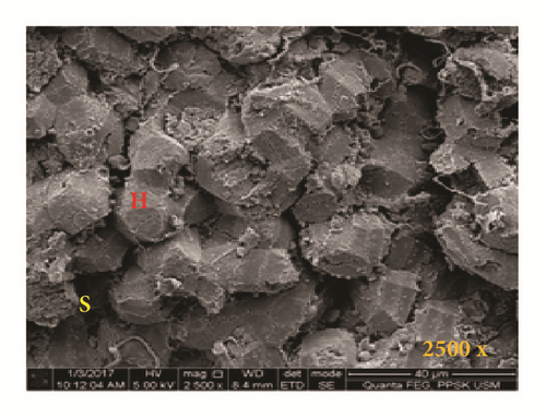 Details are in the caption following the image