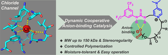 Unimolecular Anion-Binding Catalysts for Selective Ring-Opening Polymerization of O-carboxyanhydrides