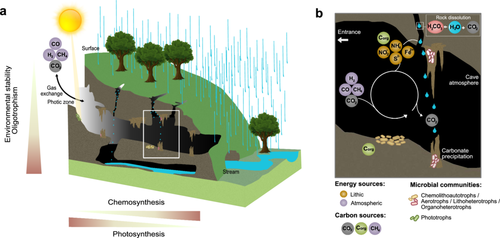 Details are in the caption following the image Details are in the caption following the image