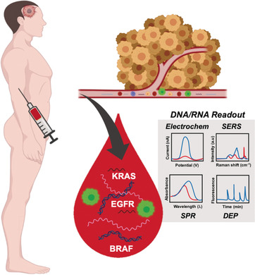 High-Performance Nucleic Acid Sensors for Liquid Biopsy Applications