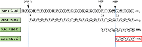 Details are in the caption following the image