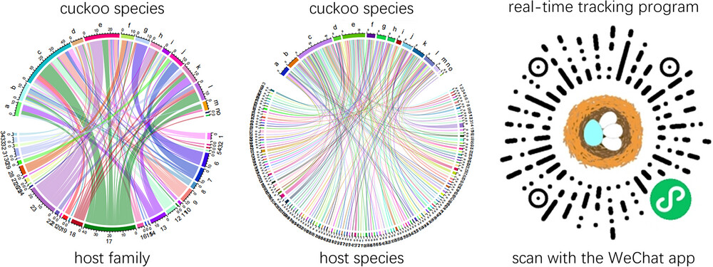 Host Exploitation by Cuckoos in China: A Review and Real-Time Tracking Program for Parasitism Records Issue ,