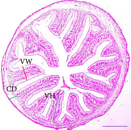 Details are in the caption following the image