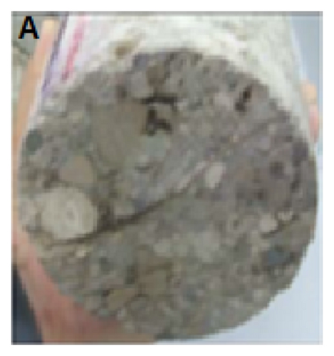 Details are in the caption following the image