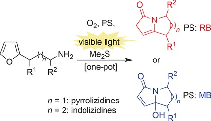 Photooxygenation of Furylalkylamines: Easy Access to Pyrrolizidine and Indolizidine Scaffolds