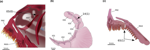 Details are in the caption following the image Details are in the caption following the image