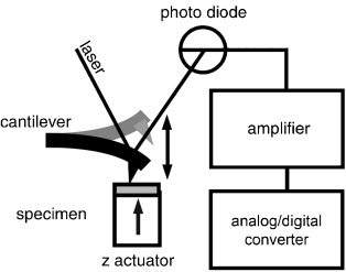 Monitoring and Analyzing Nonlinear Dynamics in Atomic Force Microscopy