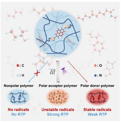 Dynamic Regulation of Radical Photochromism and Photoluminescence via Polymer Polarity