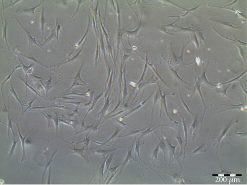 Details are in the caption following the image