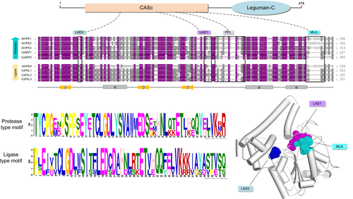 Details are in the caption following the image Details are in the caption following the image