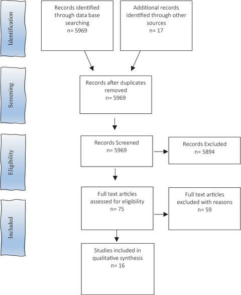Use of magnetic resonance image-guided radiotherapy for breast cancer: a scoping review