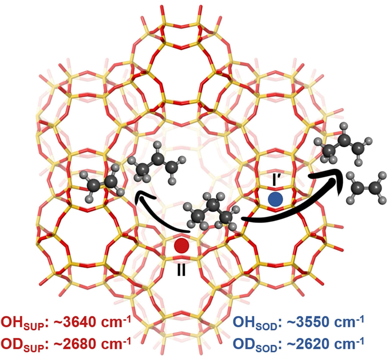 Enhanced Reactivity of Accessible Protons in Sodalite Cages of Faujasite Zeolite