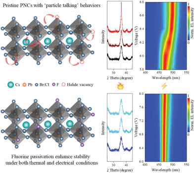 Fluorine Passivation Inhibits “Particle Talking” Behaviors under Thermal and Electrical Conditions of Pure Blue Mixed Halide Perovskite Nanocrystals