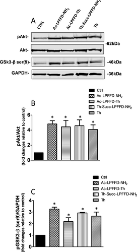 Details are in the caption following the image