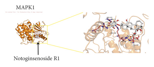 Details are in the caption following the image