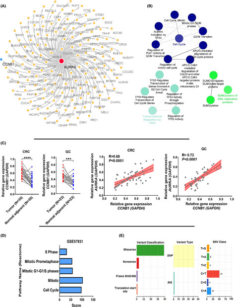 Integrated pan-cancer of AURKA expression and drug sensitivity analysis reveals increased expression of AURKA is responsible for drug resistance