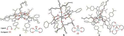 Details are in the caption following the image Details are in the caption following the image