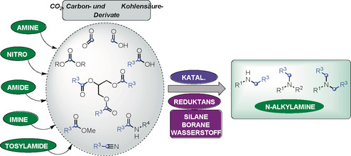 Katalytische reduktive N-Alkylierungen unter Verwendung von CO2 und Carbonsäurederivaten: Aktuelle Entwicklungen