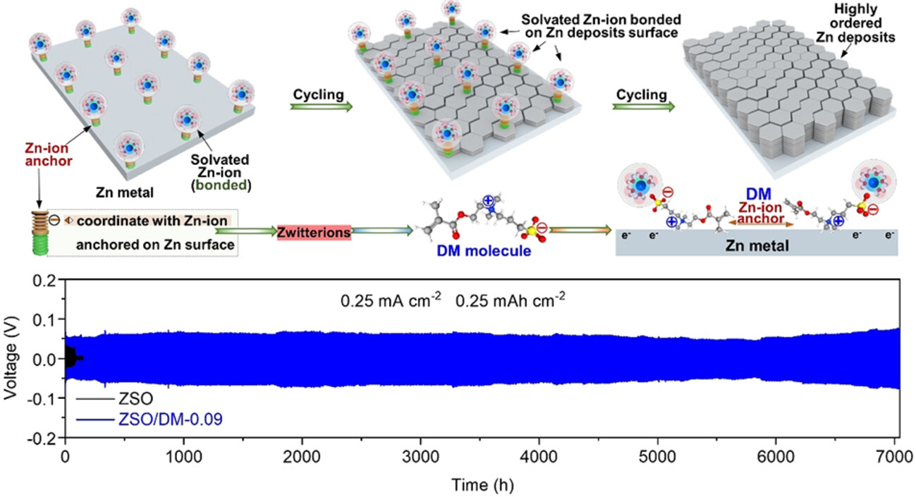 Zinc-Ion Anchor Induced Highly Reversible Zn Anodes for High Performance Zn-Ion Batteries