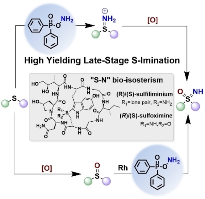 Diphenylphosphinylhydroxylamine (DPPH) Affords Late-Stage S-imination to access free-NH Sulfilimines and Sulfoximines